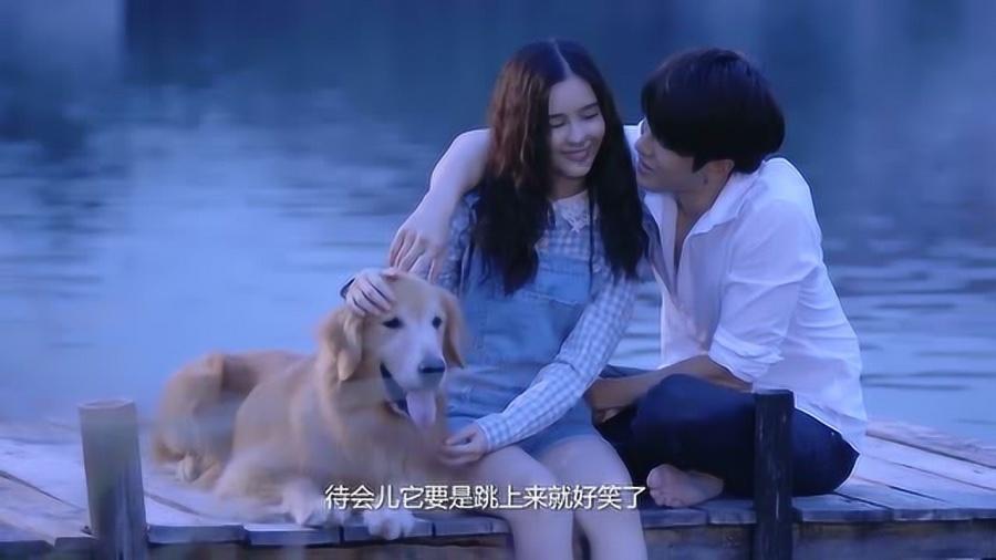 春雨直播app